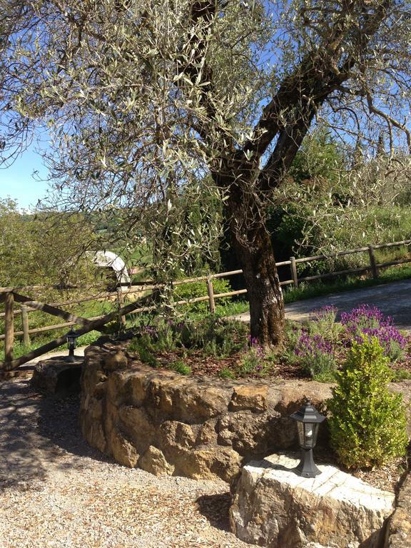 Podere Poggio Benedetto Saturnia Cameră foto